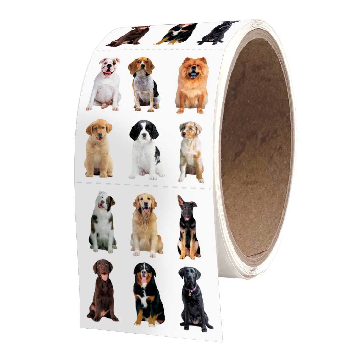 Dog sticker roll with assorted puppy portraits on white backing