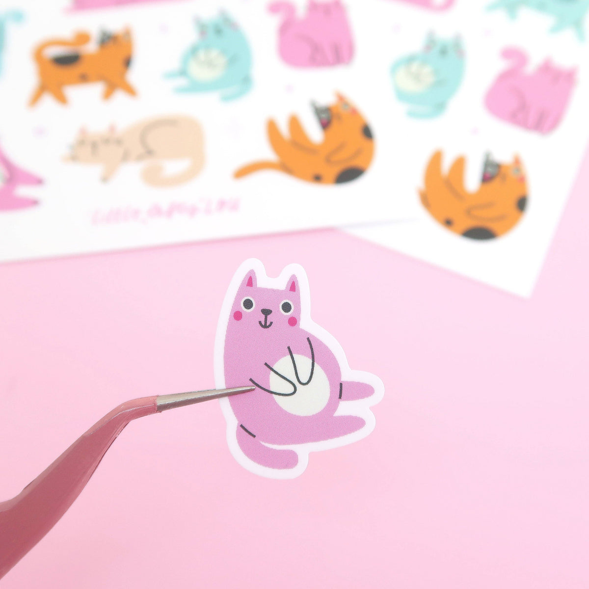 Waterproof sticker being applied: cute pink cat outline with whiskers and paws