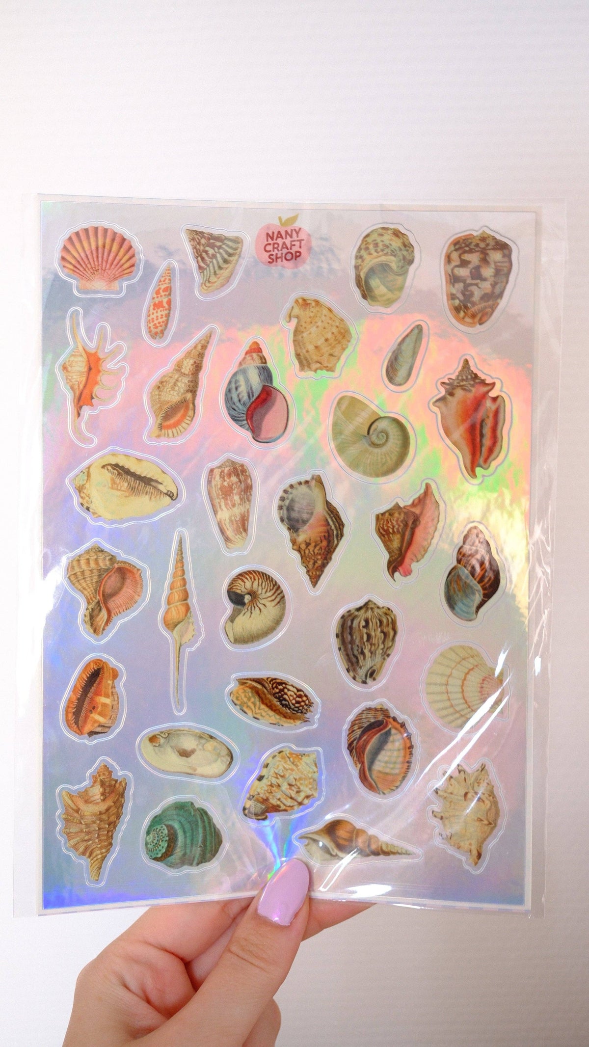 Holographic seashell sticker sheet held up in hand; clear backing with iridescent shells