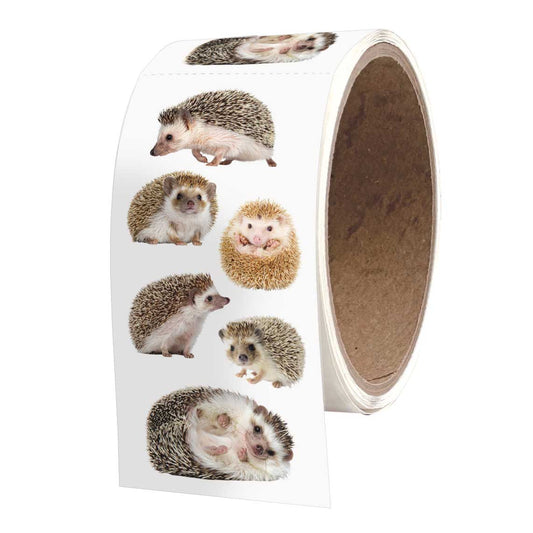 Hedgehog sticker roll with multiple hedgehog illustrations on white backing
