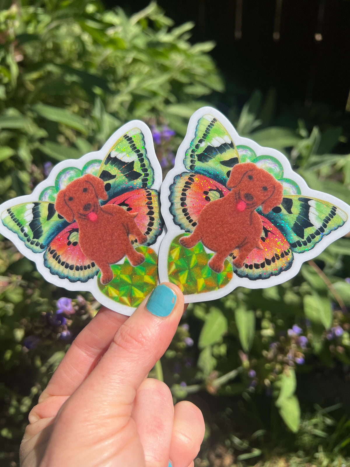 Set of butterfly dachshund stickers showing two orange dogs with iridescent green wings