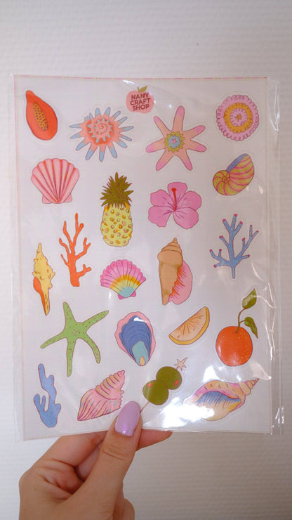 Hand holding A5 sticker sheet in clear plastic with summer seashell and starfish stickers