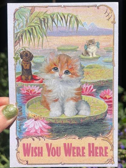 Wish You Were Here postcard with kitten in lotus pond illustration, framed border
