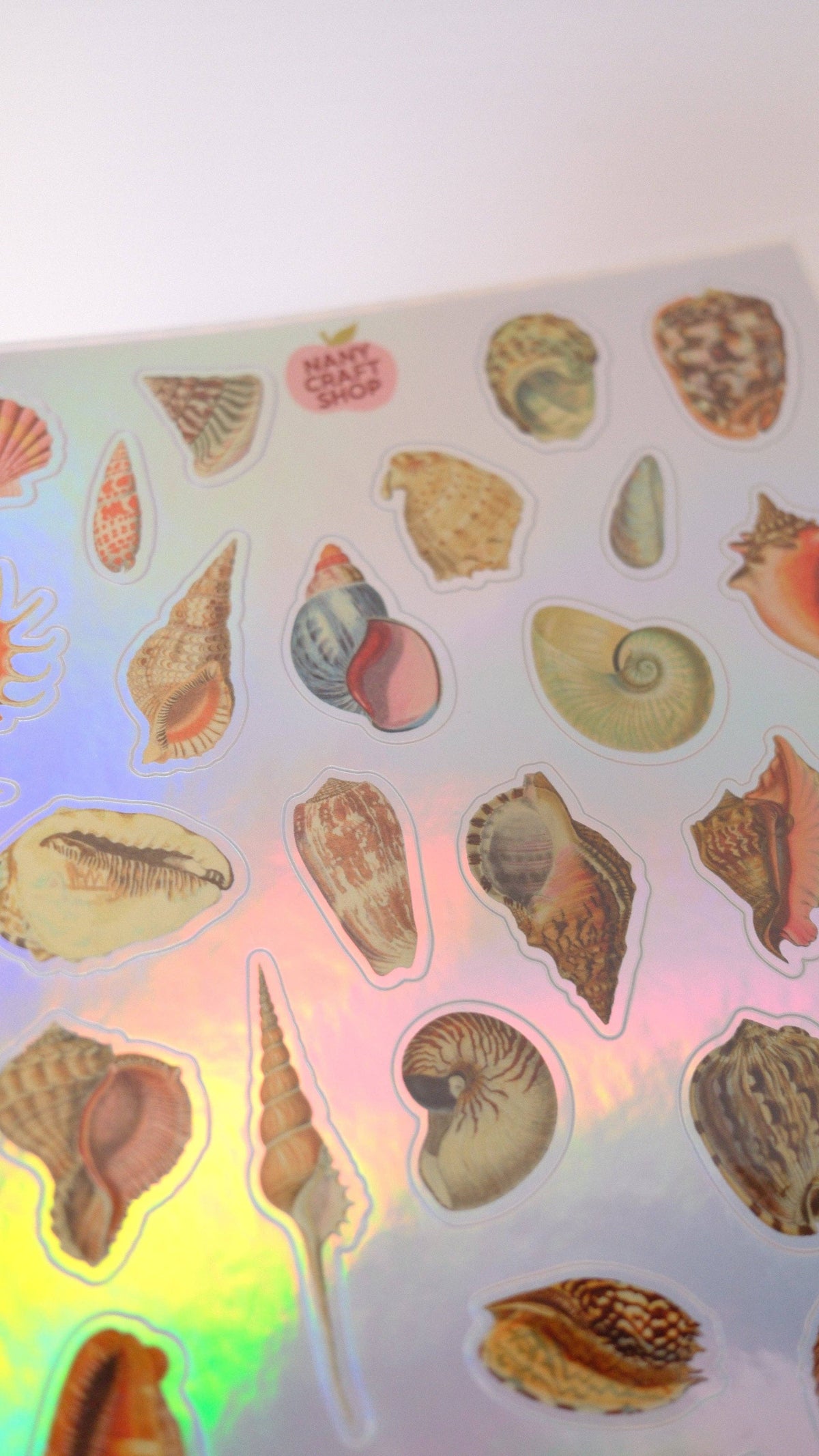 Close-up of holographic seashell stickers on iridescent background, assorted shell shapes