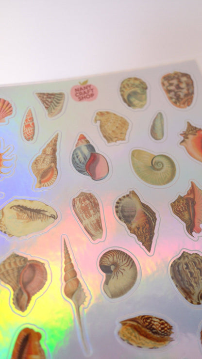 Close-up of holographic seashell stickers on iridescent background, assorted shell shapes