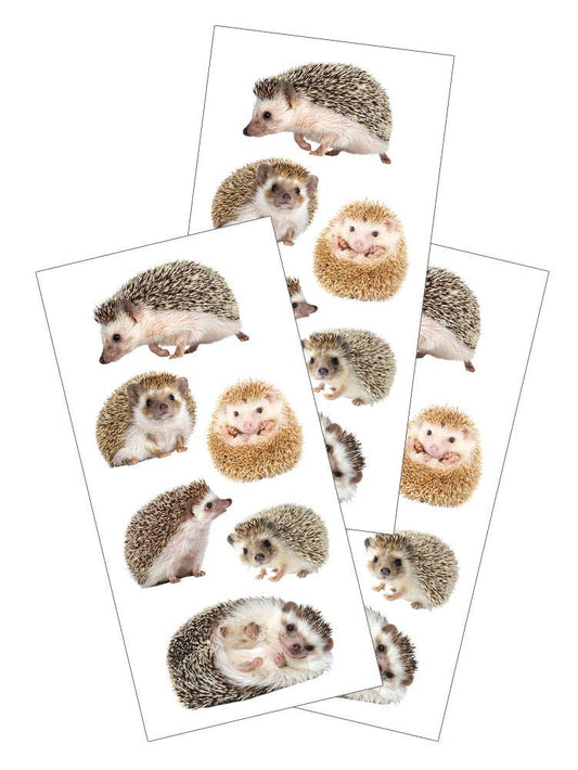 Hedgehog animal stickers set, multiple illustrated poses on clear backing sheets